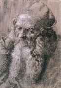 Albrecht Durer Study of a Man Aged Germany oil painting artist
